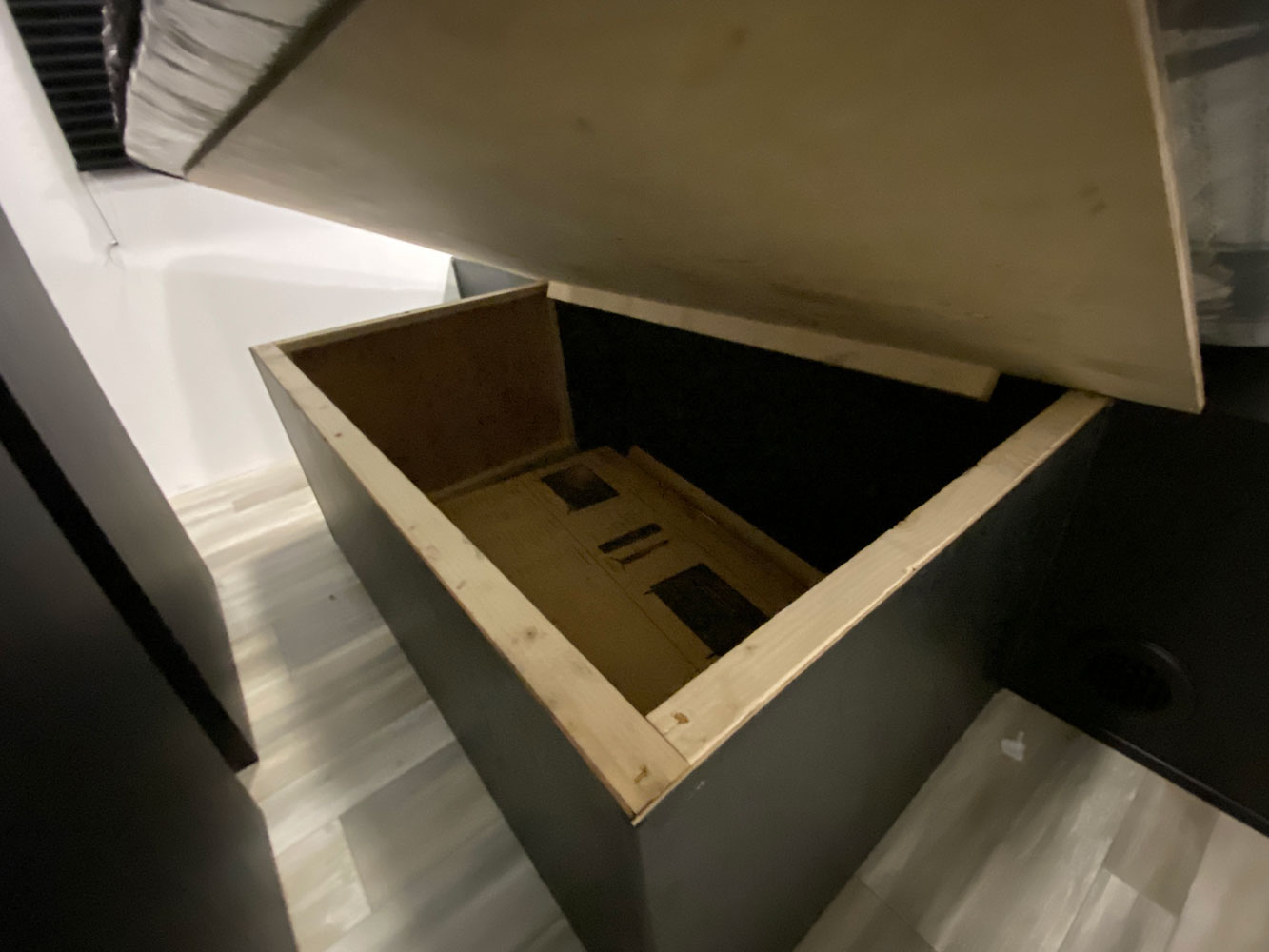 FREEDOM EXPRESS SELECT 29SE