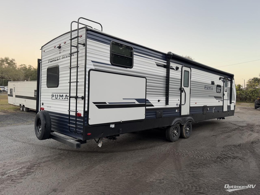 PALOMINO PUMA 31QBBH